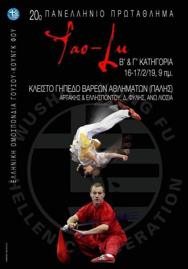wushu panell 2019